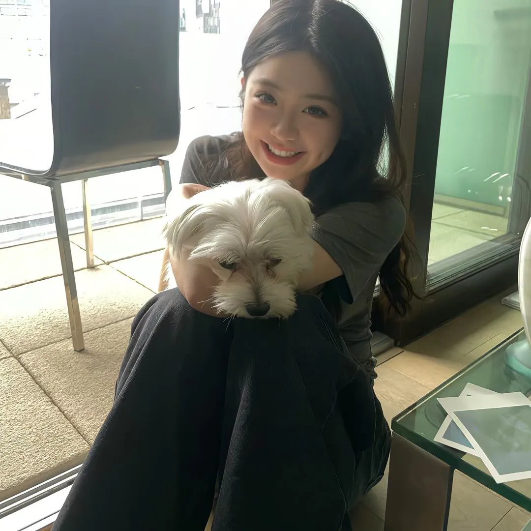 和平使者第一季