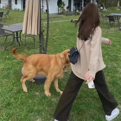 有机体复活实验